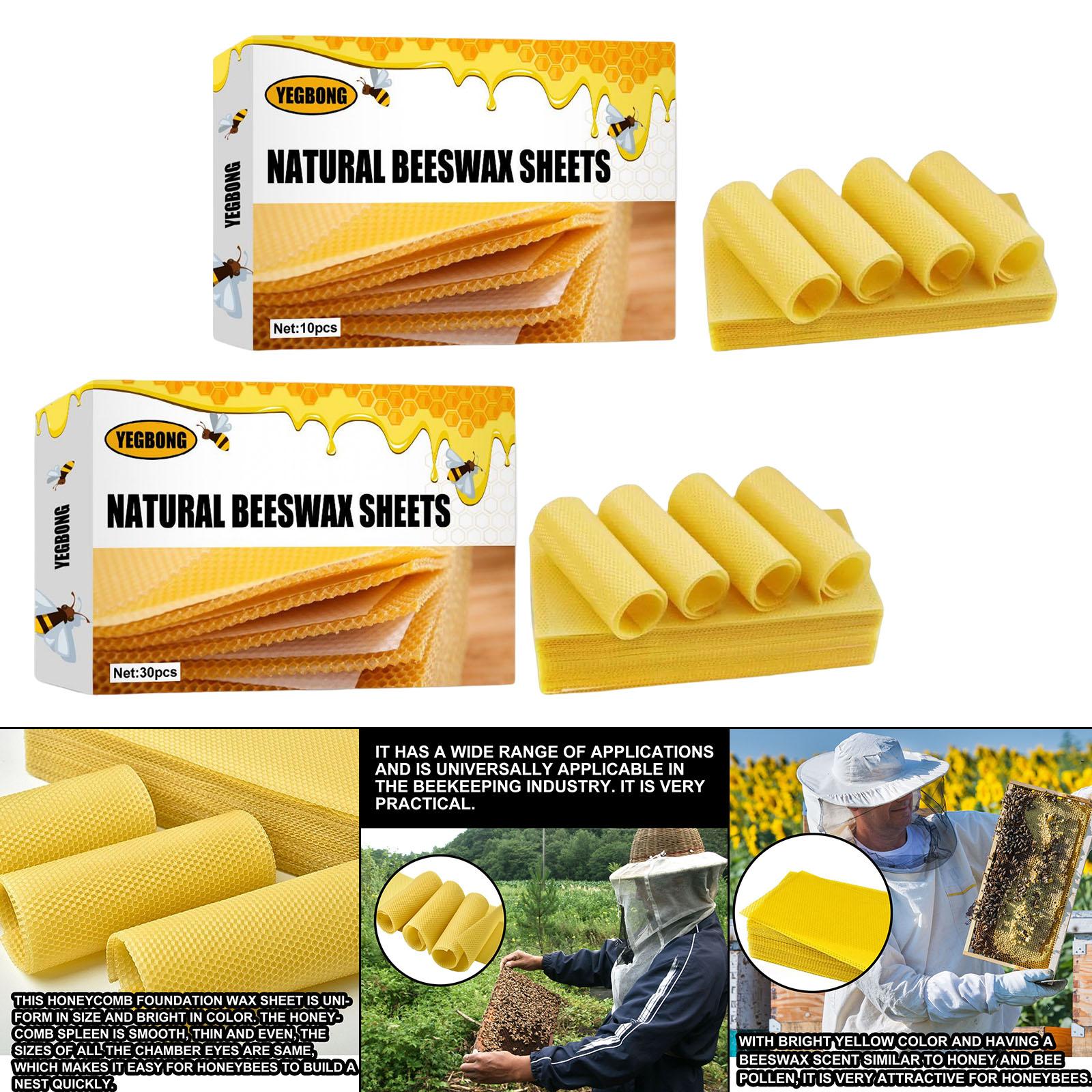 Beeswax Sheets, Beekeeping Fou - Candle Making Kits ulasan dan harga