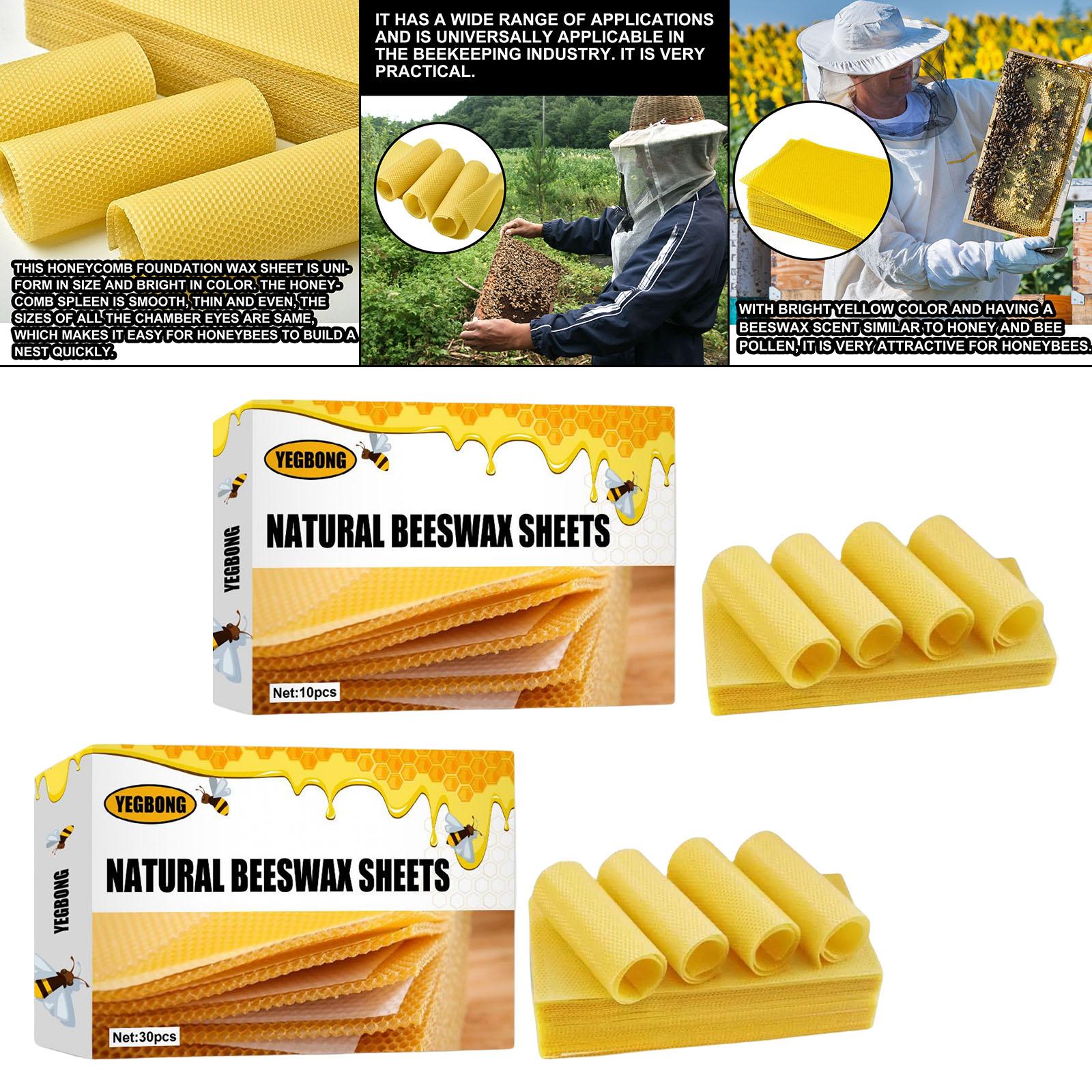Beeswax Sheets, Beekeeping Fou - Candle Making Kits ulasan dan harga